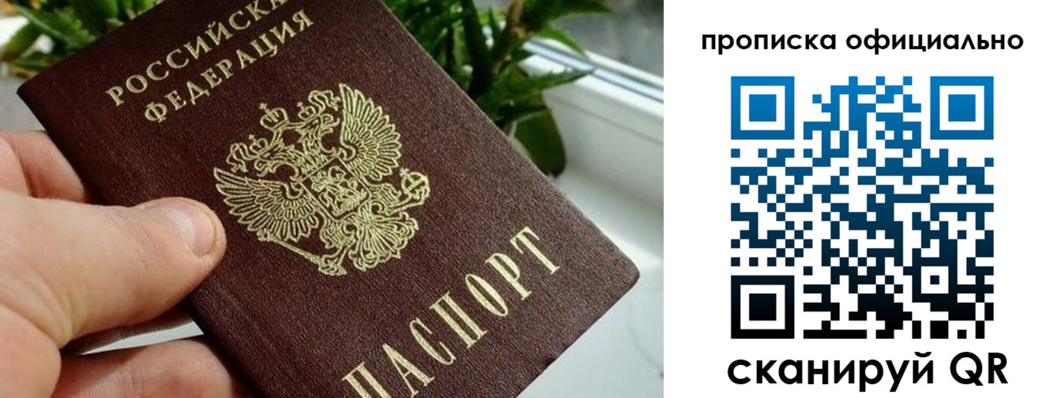 прописка поиск в Краснокамске